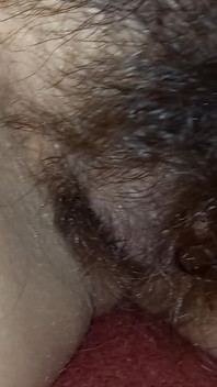 Hairy Pussy Shorts