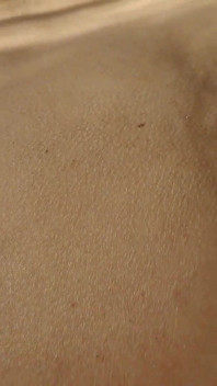 A Sassy Stepmom Fucked Her Stepson After Noticing Him Jerking off to Her Panties