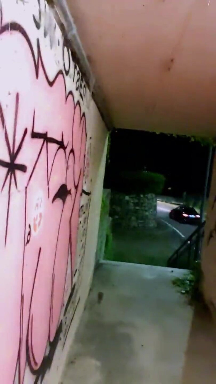 Slutboyben: Slutboyben Cam4 Sexy Cestovní Kočka II