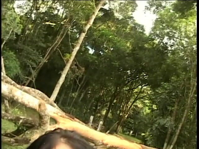 First Black Sexperience: Pelacur eksotis pantatnya dijilat kedua lubangnya dientot sama cowok berondong...
