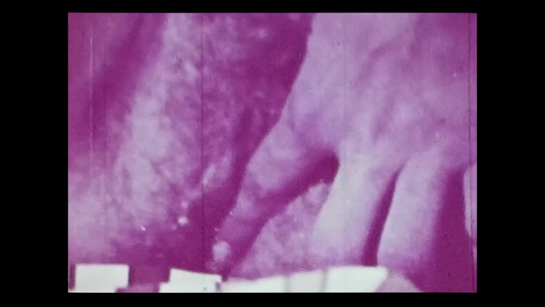 Close Encounter Vintage: Retro-porno, retro-erotik-theater - flesh esser 3