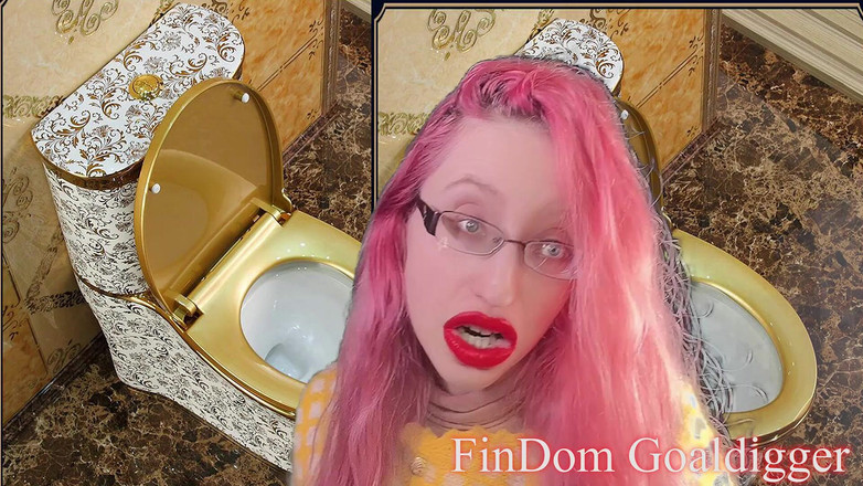 FinDom Goaldigger: 厕所清洁仆人改造！