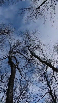 Açık!!! Seksi lezbiyen kürklü kız işemeye çalışıyor - seni ısıtmak için fışkırtıyor 4k