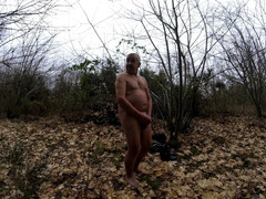 Andy: Üçüncü yürüyüşün 2. bölümü