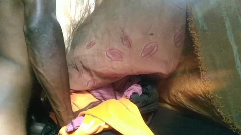 Bangcum8: 젖탱이를 핥고 시오구멍에 사정하는 18세 소녀