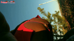 Ass Monkey: Dubur dimusnahkan