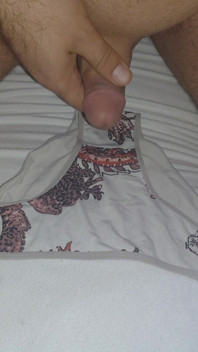 I Ejaculate Into the Panties My Wife Is Going to Wear While She Is in the Bathroom.
