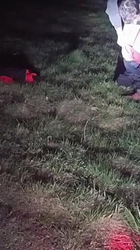 I Strip and Jerk off Outside at Night