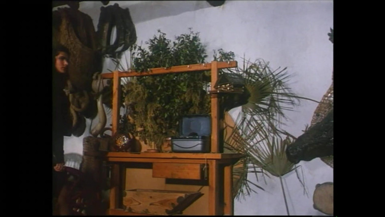 MMV TV - our best full movie: Serigala Lapar