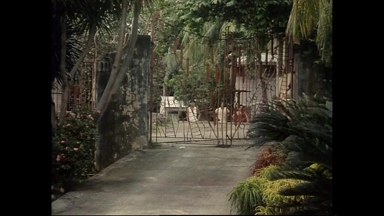 Vintage megastore: Чудова сексуальна матуся з волохатою пиздою катається на великому вінтажному члені, який кінчає їй в рот