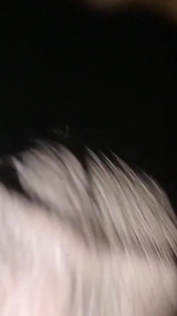Bm brilantní