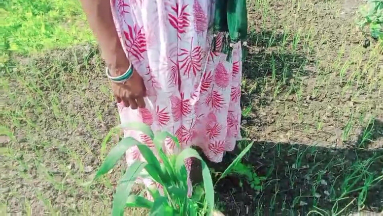 Bk Vlogs: Desi Bhabhi został zerżnięty w polu