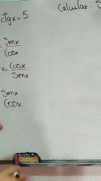 51 matemáticas sexuales para la preñada perfecta