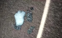 भारतीय हॉट जोड़ा सेक्स