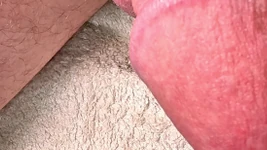 सबसे अच्छी गुणवत्ता में लंड और अंडकोष का बहुत सटीक विवरण