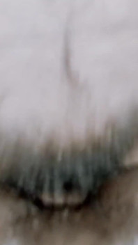 This Boy Is Crazy About Fucking Me, so I Let Him Fuck Me