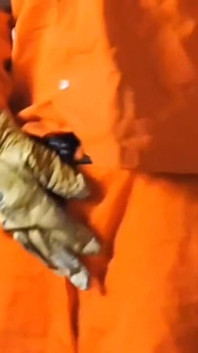 Road Worker Jerks off and Cums a Big Load After a Nap