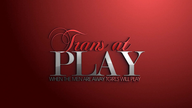 Trans 500: 和mora女士的玩耍时间