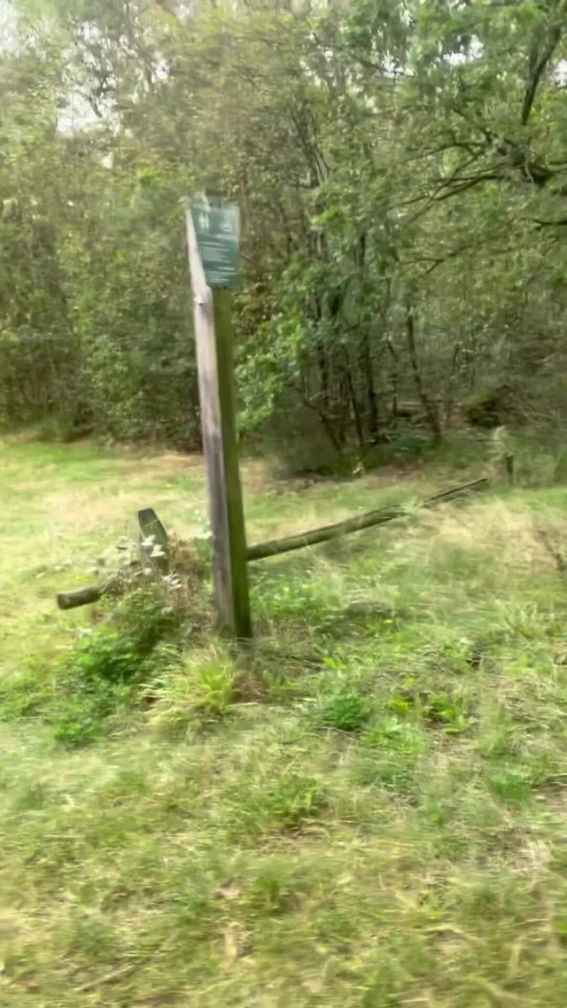 Horny on a Bench (Buiten naakt)