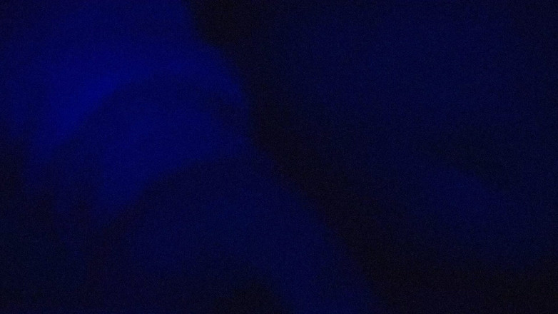 Roxxie rae page: Zonder titel dot vhs