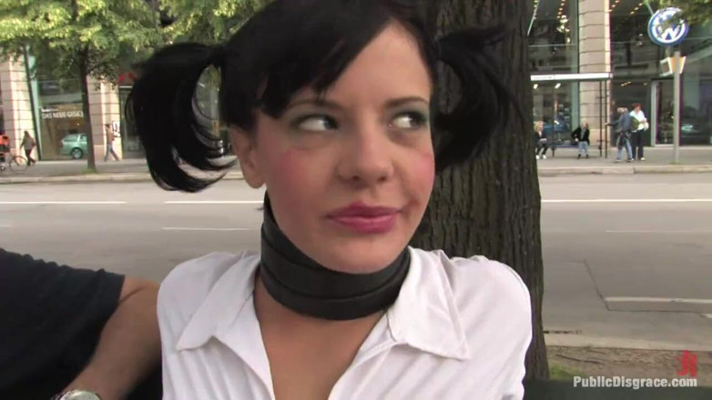 Public Disgrace by Kink: The Dog Walk
