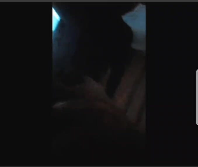 Kakabbw: Et le clown a mangé la BBW