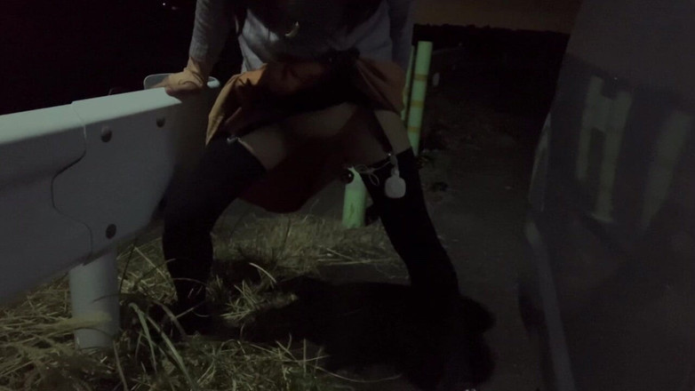 megu2002: 独立训练No32夜间散步中的狗式