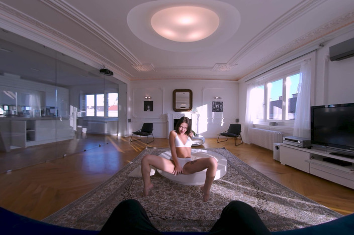 Stripz VR: Foxy Lapdance