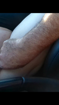 Fingered in the Passenger Seat