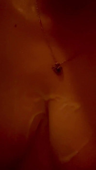 Pregnant Washing My Titties in the Shower
