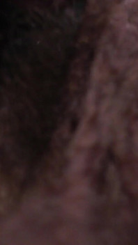 Capo in pelle