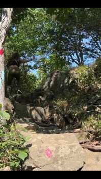 This Is a Fun Little Time in the Woods!