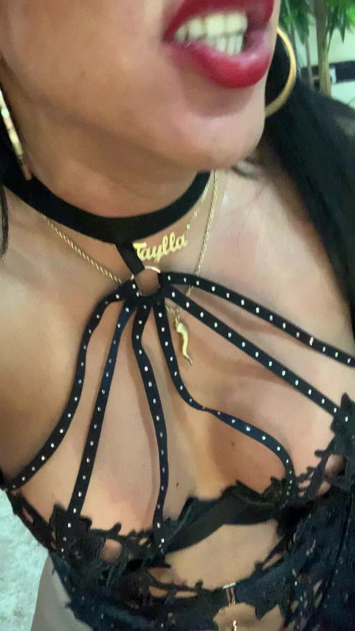 Aylla Gattina: De meest sexy kat