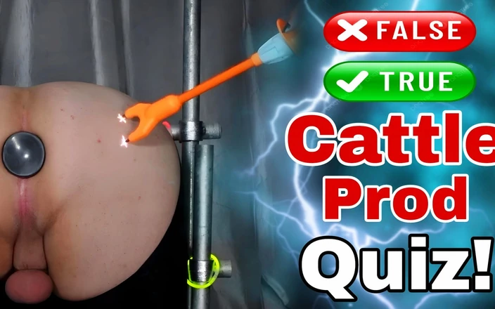 Training Zero: True or False Cattle Prod Quiz with My Femdom Slave