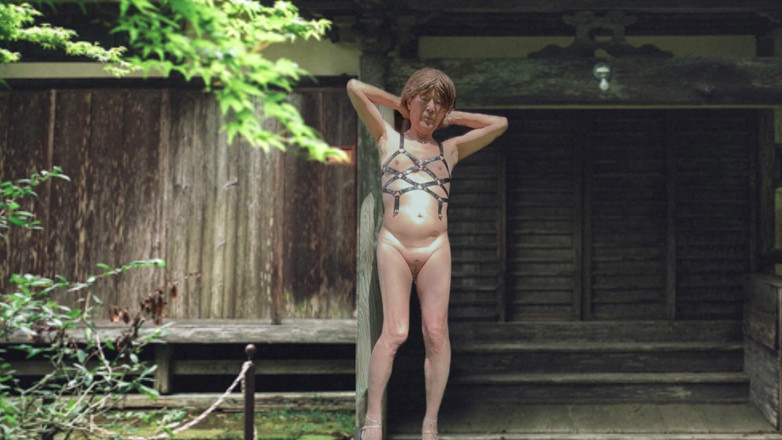 Pai-chan: 日本老房子和Pai-chan