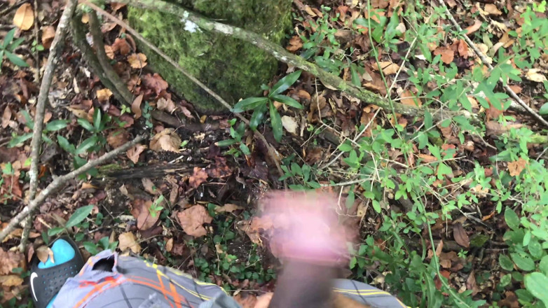 Arthur Eden aka Webcam God: Pov trek alam semula jadi (4K)