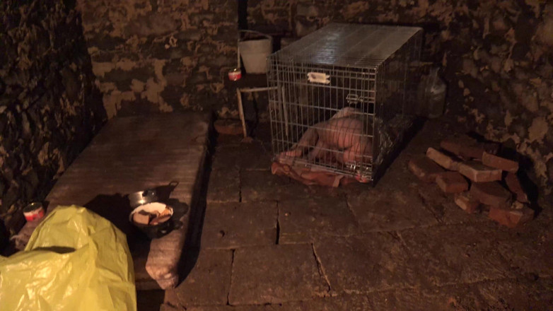 Horror porn: Horror Porn 3: a Garota na Gaiola