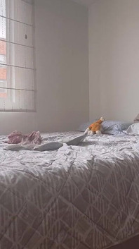 Due ragazze indossano i vestiti da palestra, si toccano a vicenda e mostrano il fino all'orgasmo