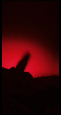 Подборка Snap