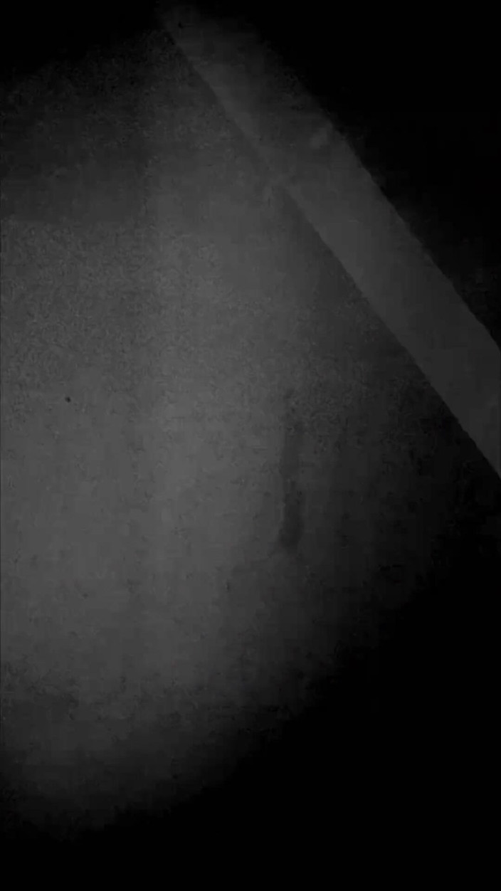 Simone Steele: Parliamo di anale