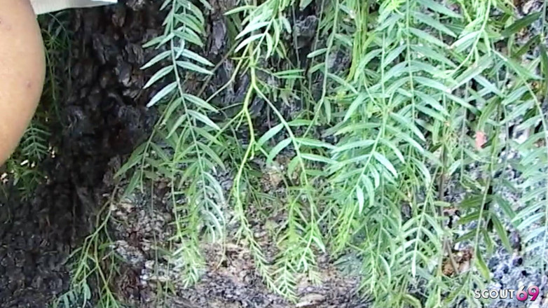 Shemale TS Collection: 낯선 이에게 따먹히는 야외에서 휴가를 즐기는 마른 쉬멜