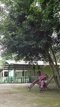 Pertemuan seksi di dalam hutan