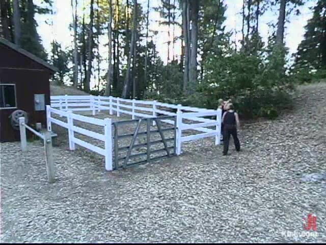 Sex and Submission by Kink: Annie Cruz, Joey Ray en Mark Davis