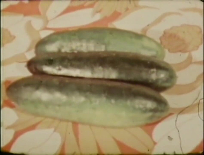 Vintage Usa: Sweet young vintage girl take a big cock