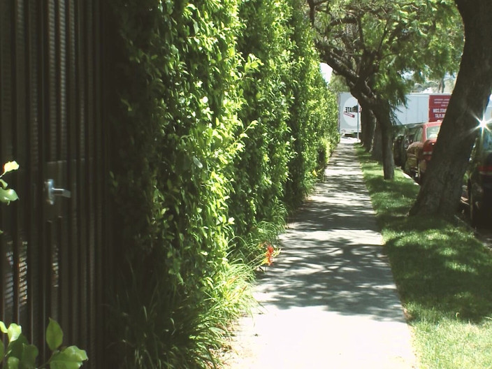 Bananas with Melons: Sexy e intensa scena-3_slim, bruna arrapata viene scopata da un...