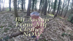 Andy: Plimbare 12 2025