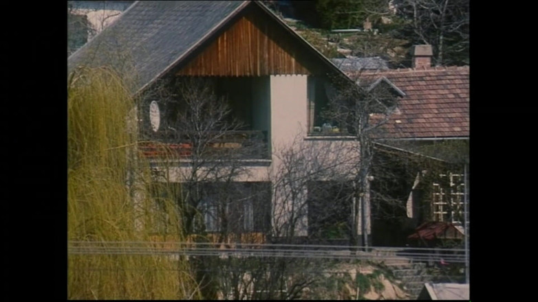 FM Video VOD: Milly D'abbraccio en Sara Young in: A Family for Penis - (originele...