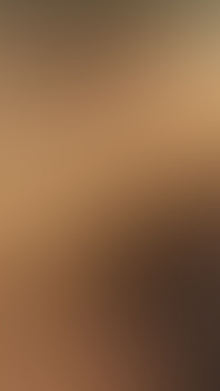 Black Bros Bangin White Hos Vol 2