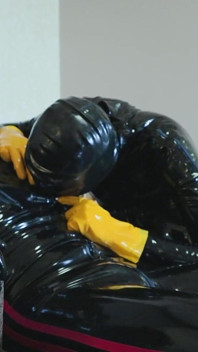 Gimp Programming (hotel Collection)