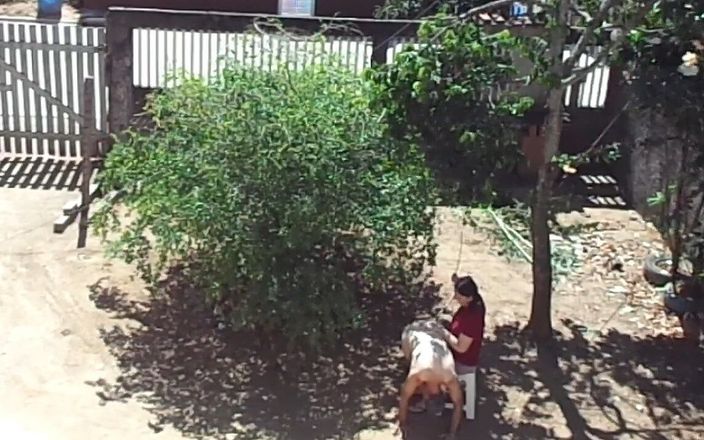 Fatal couple: Minha esposa me espancando no jardim da frente. Ela está...